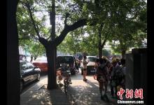 猥褻兒童事件頻發：校園性教育何時不再尷尬？