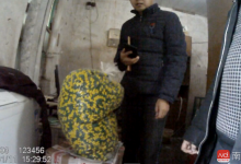 利潤超販毒！農村黑作坊生產假減肥藥，銷往20余省