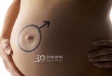 母親的“詛咒”：為什么女人比男人更長(zhǎng)壽？
