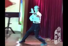上海崇明戴迪養(yǎng)生基地舉行中華武藝展示活動(dòng)