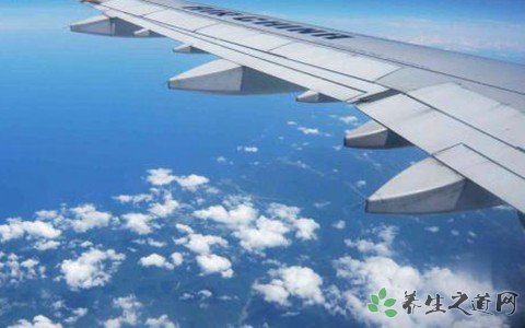 埃航遇難乘客身份 乘坐飛機(jī)要注意什么