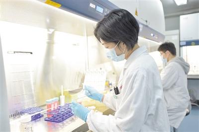 想不到！肝臟里的小油滴會啟動免疫“毀滅”程序