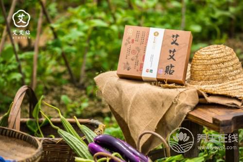 艾艾貼艾灸器：知名養生節目都在講它，連《向往的生活》里都有它