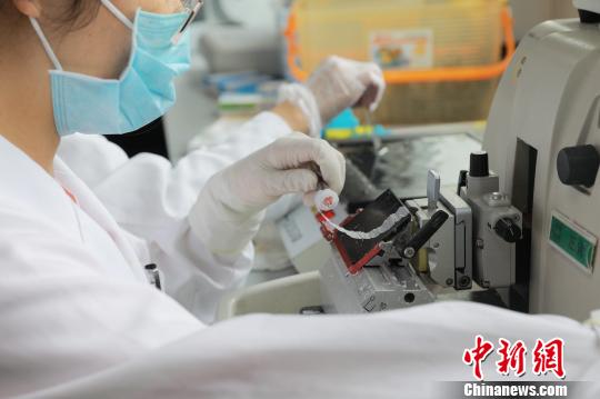 粵醫院病理檢測技術獲國際認可 與近80個國家互認病理報告-易網健康<a href=http://www.fnaogov.cn/jkys/ target=_blank class=infotextkey>養生</a>網 粵醫院病理檢測技術獲國際認可 與近80個國家互認病理報告