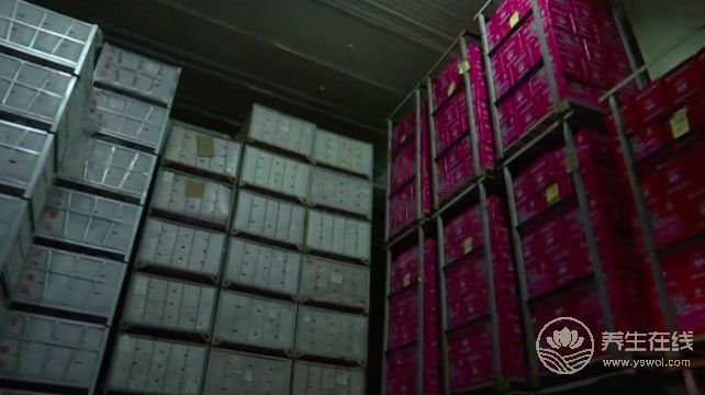 天價蘋果幕后，竟然是這一群人在幕后推手