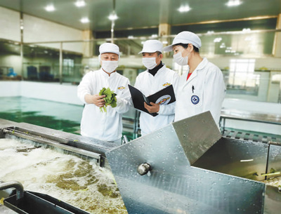 守護食品安全的人:敬畏“舌尖上的安全”-易網(wǎng)健康<a href=http://www.fnaogov.cn/jkys/ target=_blank class=infotextkey>養(yǎng)生</a>網(wǎng) 守護食品安全的人:敬畏“舌尖上的安全”