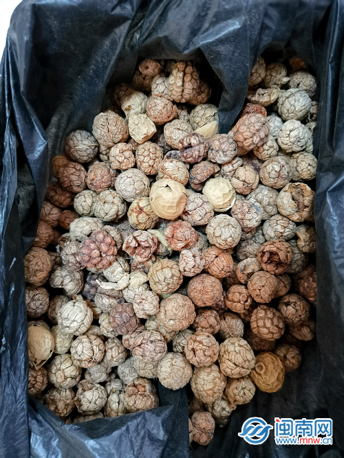輕信騙子忽悠 漳州一患者家屬花錢買“神藥”-易網(wǎng)<a href=http://www.fnaogov.cn/ target=_blank class=infotextkey>健康養(yǎng)生</a>網(wǎng) 輕信騙子忽悠 漳州一患者家屬花錢買“神藥”