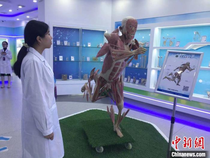 安徽醫(yī)科大學(xué)人體科學(xué)館、博物館中醫(yī)珍品館開館