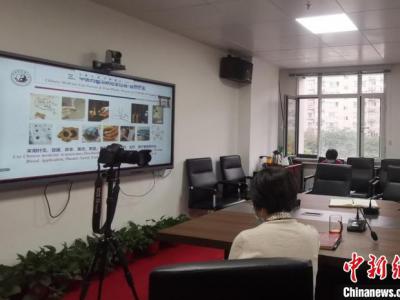 河南中醫(yī)名家向30余個海外僑社團(tuán)直播中醫(yī)藥防疫
