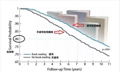 讀書越多，活得越久？耶魯大學：每天閱讀30分鐘，不僅更長壽，而且更幸福