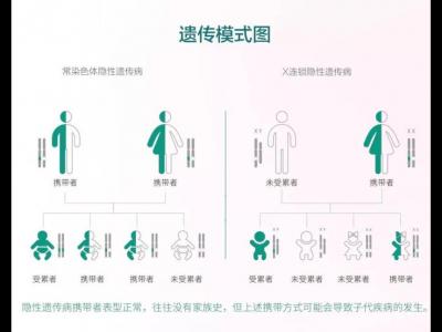 預(yù)防出生缺陷，準(zhǔn)父母們這項孕期篩查太重要了！