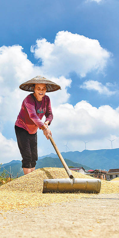“兩節”商品足供應保障穩(新時代畫卷)-易網健康<a href=http://www.fnaogov.cn/jkys/ target=_blank class=infotextkey>養生</a>網 “兩節”商品足供應保障穩(新時代畫卷)