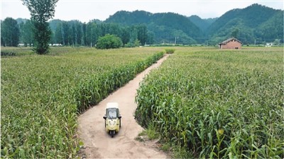 強(qiáng)基層,給全民健康更有力支撐-易網(wǎng)健康<a href=http://www.fnaogov.cn/jkys/ target=_blank class=infotextkey>養(yǎng)生</a>網(wǎng) 強(qiáng)基層,給全民健康更有力支撐