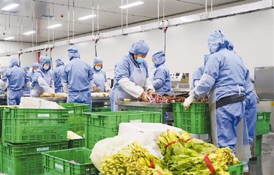 預制菜,“看著美”也要“吃得香”-易網健康養生網 預制菜,“看著美”也要“吃得香”