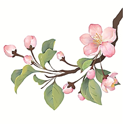 二十四節氣二十四問-易網<a href=http://www.fnaogov.cn/ target=_blank class=infotextkey>健康養生</a>網 二十四節氣二十四問