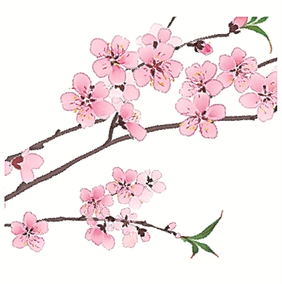 二十四節氣二十四問-易網健康<a href=http://www.fnaogov.cn/jkys/ target=_blank class=infotextkey>養生</a>網 二十四節氣二十四問