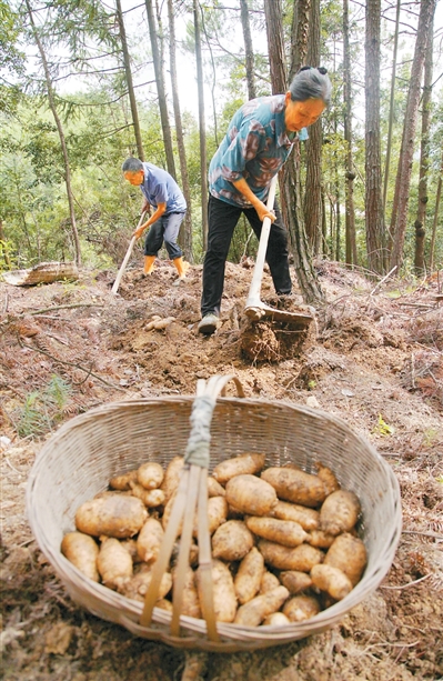 我國居民健康水平持續改善(大健康觀察)-易網健康養生網 我國居民健康水平持續改善(大健康觀察)