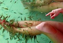喜愛讓小魚吃掉腳上的死皮？當心脫甲癥