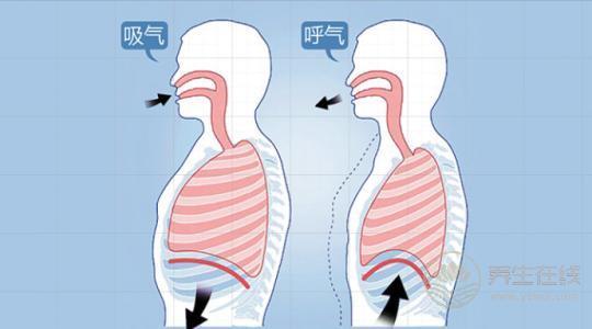 做夢睡不好是因為“血虛”，教你如何養血，從根本解決身體病灶