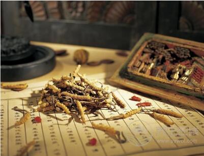 補(bǔ)腎壯陽藥酒配方大全
