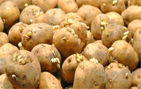 吃發(fā)芽的土豆會中毒  這10種食物含有毒素