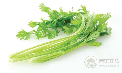 養(yǎng)生飲食禁忌 甲魚(yú)不能和這些食物一起吃