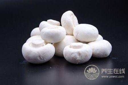 女人吃哪些蛋白質(zhì)食物能減肥