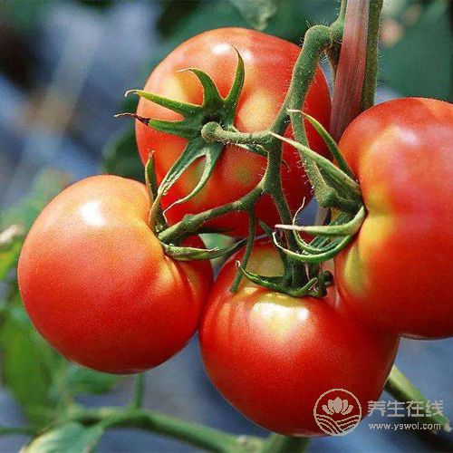 吃蔬菜雖好，但這些食用禁忌你知道幾個？