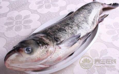 女性吃魚真能減肥嗎？哪些魚類可以減肥？