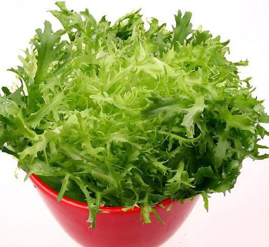 6月必吃的蔬菜是它，養生功效極好，您吃了嗎