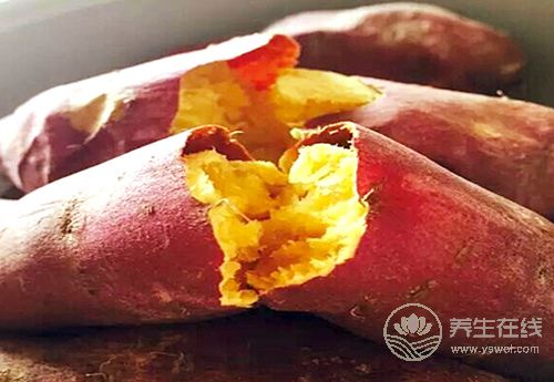 紅薯好吃不貴，對(duì)身體還有3大好處