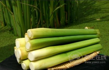 當心！！這7種蔬菜沒煮熟似砒霜