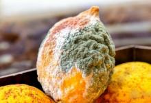 肝病跟吃關(guān)系大？想肝臟健康，少吃4類食物