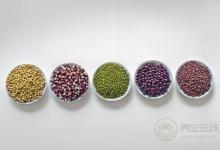 11個(gè)錯(cuò)誤方法越減越肥 每天稱(chēng)體重不吃早餐