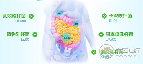 拉肚子腹瀉怎么辦？吃點(diǎn)益生菌好得快