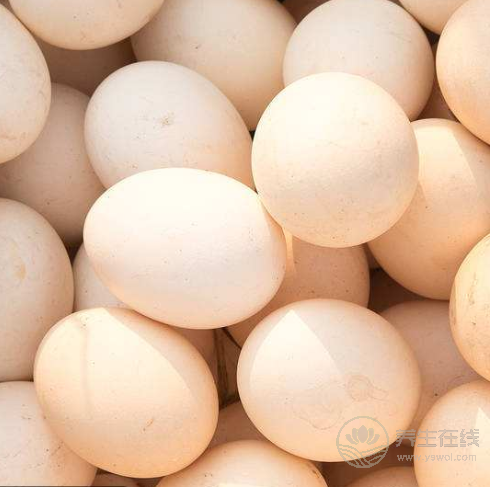 腎不好，別急著吃藥，這3種食物，能助你腎好人不倒