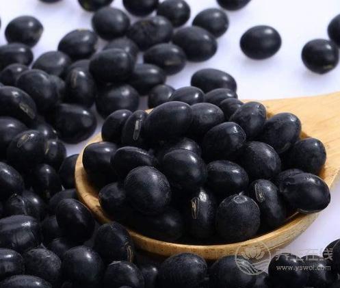 腎不好？4種食物能補腎，常吃讓腎漸漸“回力”
