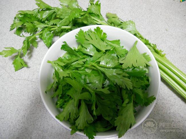 芹菜葉有這么多的養(yǎng)生功效，扔掉可惜了