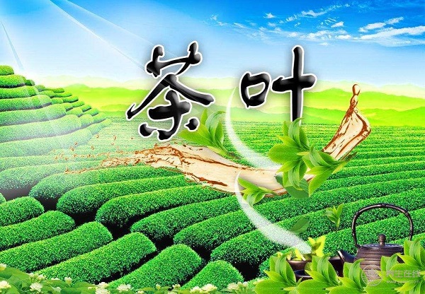 15種養(yǎng)生茶配方大全，你知道它們的功效嗎？