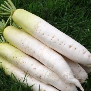 生活中有哪些食物有補(bǔ)血作用？補(bǔ)血食物推薦