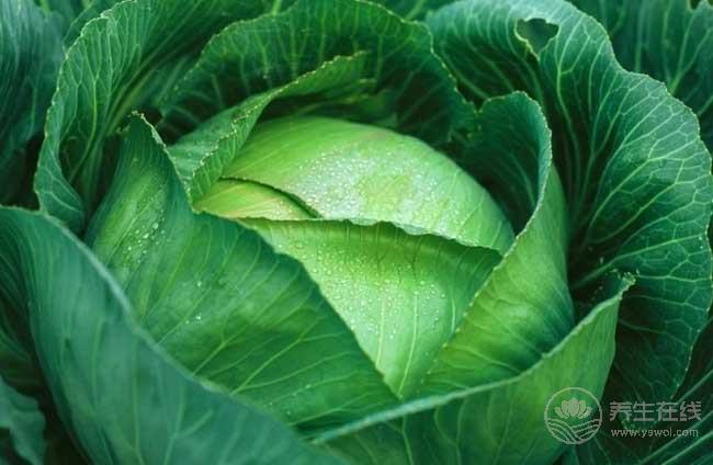 5種食物是血管清道夫,多吃保護(hù)血管 5種食物是血管清道夫,多吃保護(hù)血管