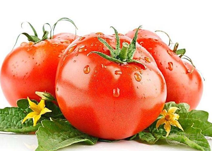 早餐怎么吃既營(yíng)養(yǎng)又減肥？