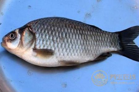 清燉鯽魚湯燉雖然鮮美，但是一些人不適合喝