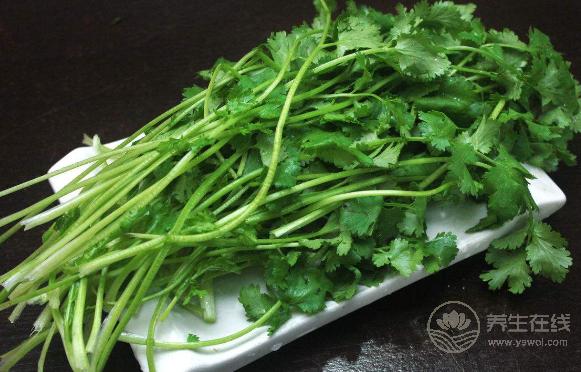 不吃香菜，你就體驗不到這幾個好處