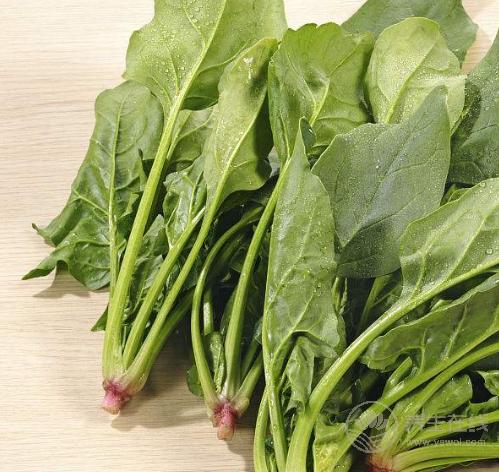 4種食物對(duì)肌膚有益,愛(ài)美的人別錯(cuò)過(guò) 4種食物對(duì)肌膚有益,愛(ài)美的人別錯(cuò)過(guò)