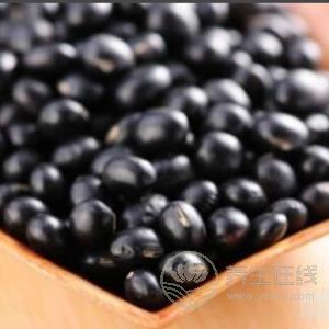 生活中有哪些食物有補(bǔ)血作用？補(bǔ)血食物推薦