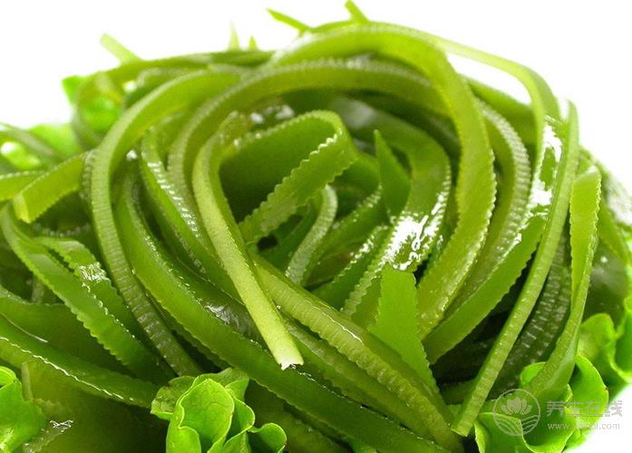 抽煙的人一定要看:4種清肺食物幫助保護(hù)您和家人的肺 抽煙的人一定要看:4種清肺食物幫助保護(hù)您和家人的肺