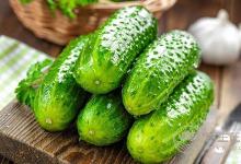 長胖了怎么辦？7種日常食物助你減脂