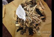 吃中藥養生，這樣吃藥效翻倍