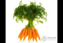 能凈化血管的5種食物，人人家里有
